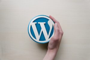 WordPress Tema Güncelleme Nasıl Yapılır?