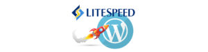 LiteSpeed Nedir? Site Hızlandırma Yöntemleri