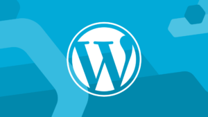 WordPress Web Sitesi Hızlandırma: Kapsamlı Rehber