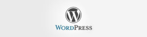 WordPress Sürüm Yükseltme Nasıl Yapılır?