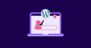 WordPress Web Sitem Yavaş: Sebepler ve Çözümler